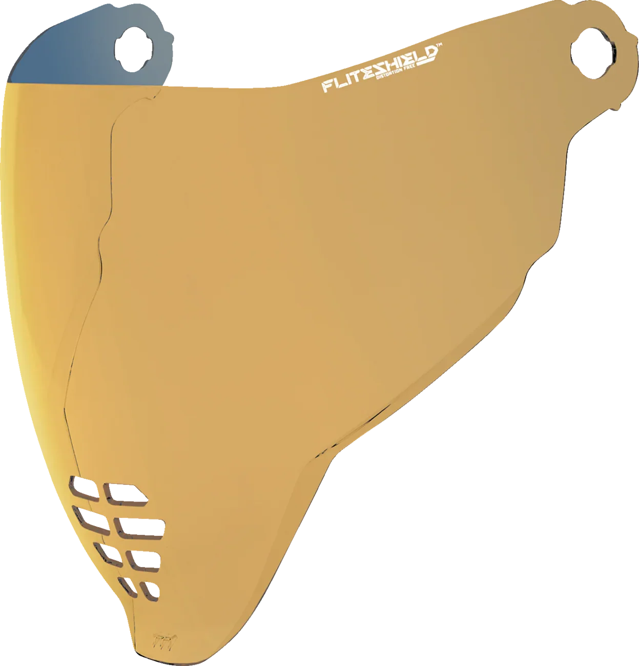 ICON FliteShield- 22.06 Shield