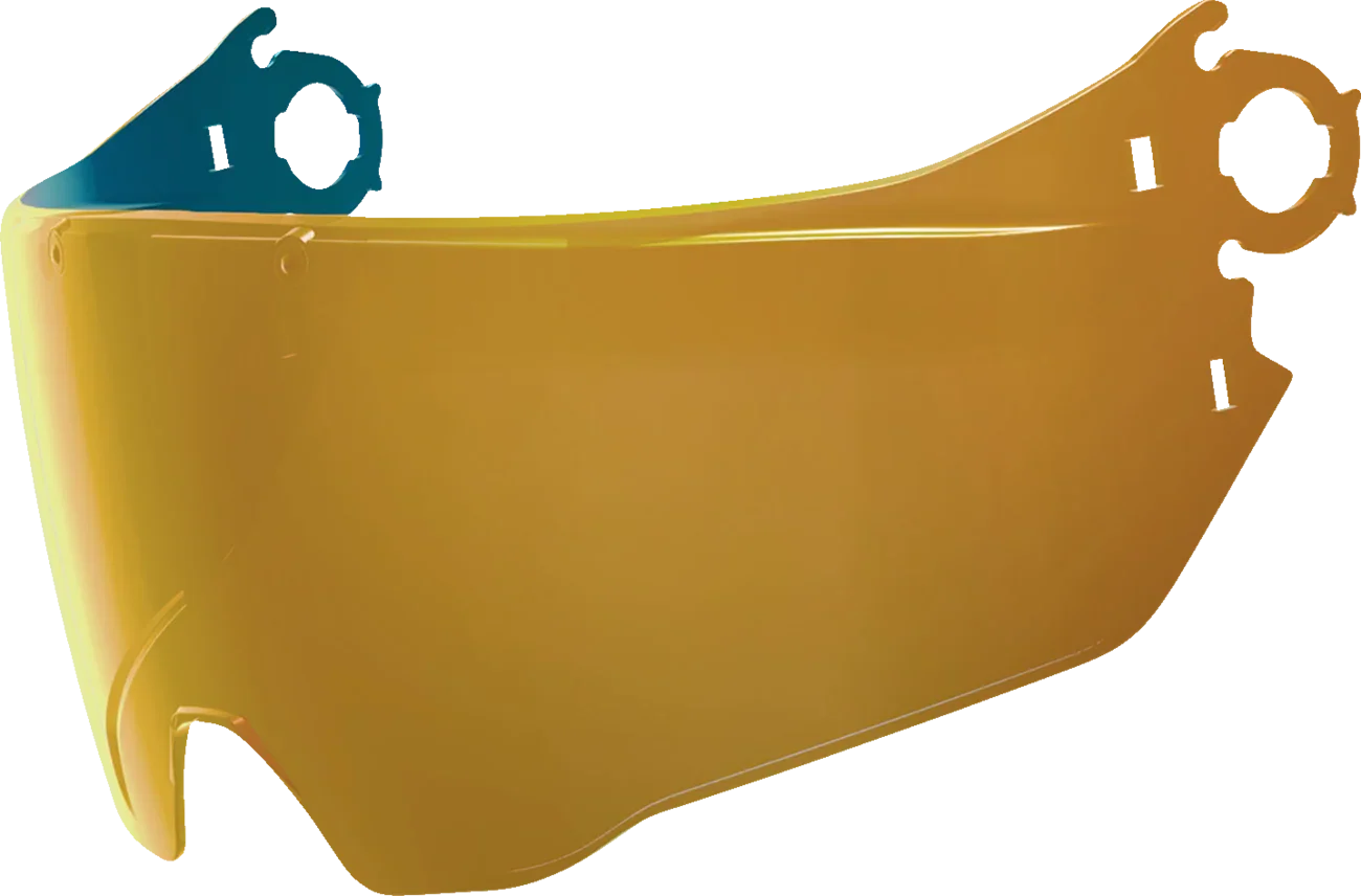 ICON Elsinore- Helmet MX Shield